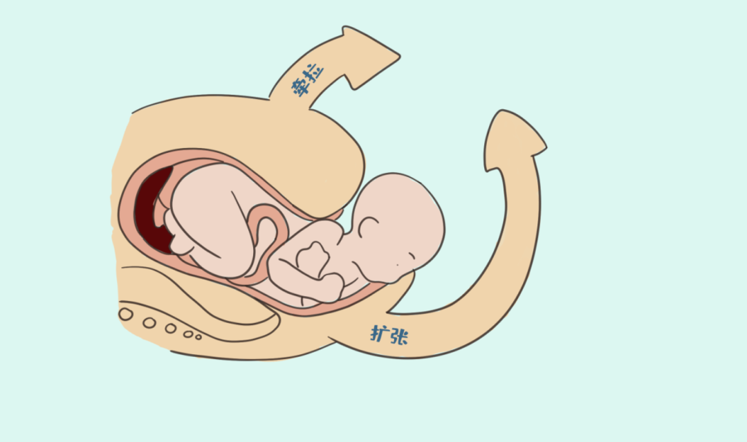 企业微信截图_17186977954920.png